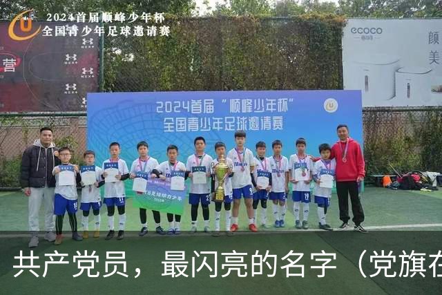共产党员，最闪亮的名字（党旗在基层一线高高飘扬）