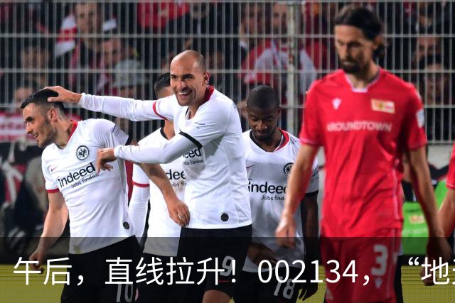 午后，直线拉升！002134，“地天板”