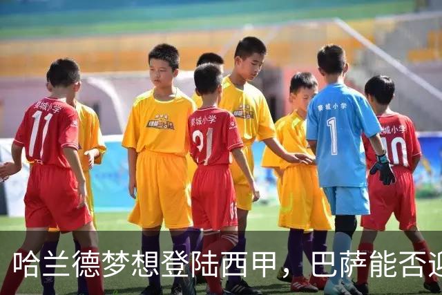 哈兰德梦想登陆西甲，巴萨能否迎来机会？