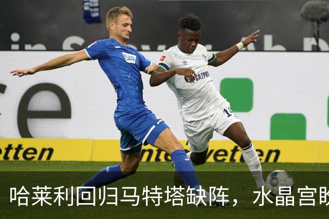 哈莱利回归马特塔缺阵，水晶宫盼反超森林再战里昂