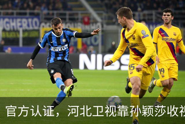官方认证，河北卫视靠孙颖莎收视登顶！