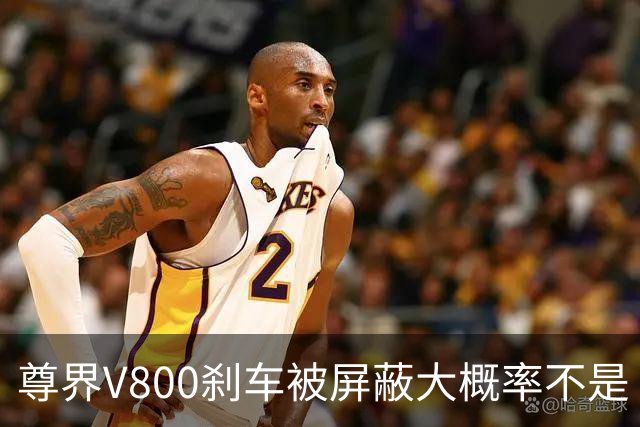 尊界V800刹车被屏蔽大概率不是“适配没跟上”的技术疏忽。
