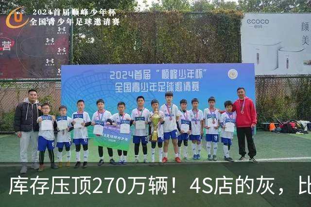 库存压顶270万辆！4S店的灰，比销量榜更诚实！