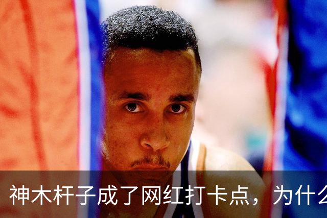 神木杆子成了网红打卡点，为什么要围起来？