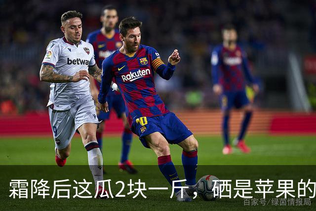 霜降后这瓜2块一斤，硒是苹果的14.5倍，几乎不打农药，很多人嫌它“长相怪”不懂吃