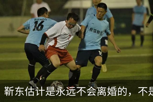 靳东估计是永远不会离婚的，不是因为他和老婆财产纠葛太多